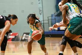 Image result for Nottingham Wildcats