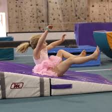 Image result for Aerodyne Gymnastics Club