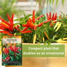 Afbeeldingsresultaat voor thai bird pepper hot pepper