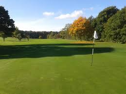 Image result for Billingham Golf Club
