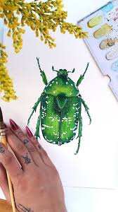 Attēlu rezultāti vaicājumam “Potosia cuprea imago”