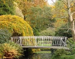 Image result for Arboretum Trompenburg