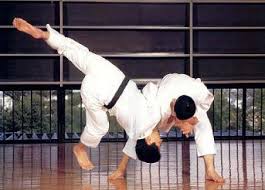Image result for Durham University Shorinji Kempo Society Club
