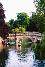 Image result for Bridge Of Don Amateur Swimming Club