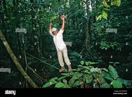 Image result for PONT DE SINGE