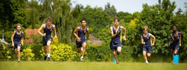 Image result for Woking Athletics Club