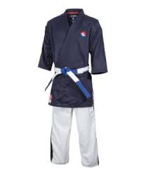 Image result for Yoseikan Budo England