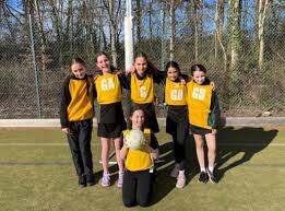 Image result for Ponteland Netball Club