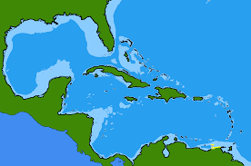 Image result for Sparisoma axillare