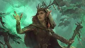 Image result for druid