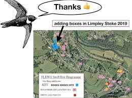 Image result for Bristol Swifts