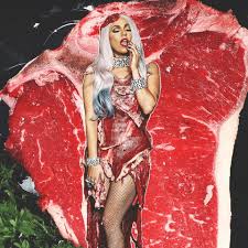 Image result for lady gaga meat dress