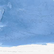 Image result for Pseudomyxus capensis