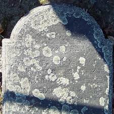 Image result for Nutfield Youth