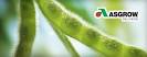 Monsanto ~ Asgrow