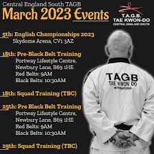 Image result for Newbury TAGB Tae Kwon-Do (Juniors)