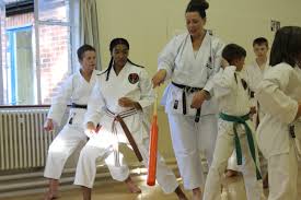 Image result for Harpenden JKA Karate Club