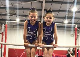 Image result for Kestrel Gymnastic Group