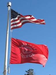 Image result for Tora Dojo