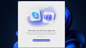 Image result for skype langsam