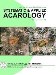 Attēlu rezultāti vaicājumam “Belbodamaeus sp.”