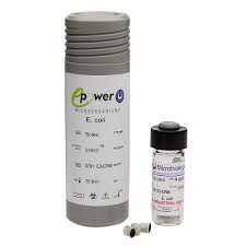 Attēlu rezultāti vaicājumam “Enteridium variabile macro”