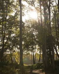 Image result for Wentworth Tennis & Health Club