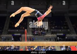 Image result for Appley Bridge Gymnastics Club