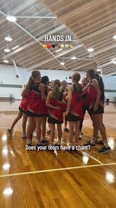 Image result for Valhalla Netball Club