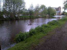 Image result for Addlestone Angling Society