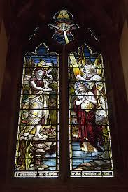 Image result for Peasedown-St-John Cc