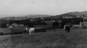 Image result for Heversham Badminton Club