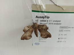 Attēlu rezultāti vaicājumam “Laothoe populi imago”