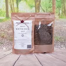 Attēlu rezultāti vaicājumam “Rumex hydrolapathum”