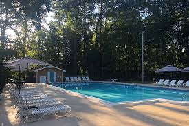 Image result for Leek Swimming Club