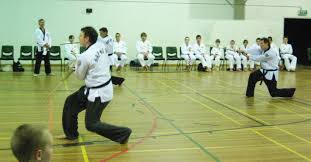 Image result for INTERNATIONAL HAPKIDO TAMWORTH