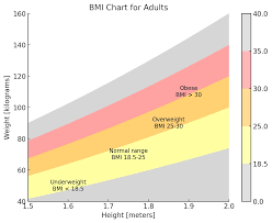 Bildresultat för bmi-tabell