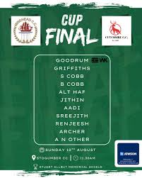 Image result for Minehead Cricket Club