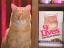 Spokane cat club focuses on 9 Lives cat food - Worldnews.