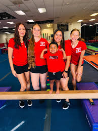 Image result for Acrobrats