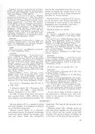 Attēlu rezultāti vaicājumam “Heyderia pusilla”