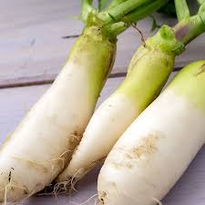 Image result for Rettich