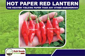 Afbeeldingsresultaat voor paper lantern hot pepper