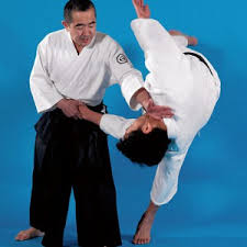 Image result for Goryukai Aikido Yoshinkan (Chichester)