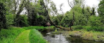 Image result for City Of London Piscatorial Society