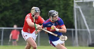 Image result for Erin`s Own Gaelic Athletic & Social Club