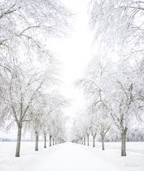 Image result for ice storm