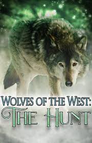 Image result for Westgate Wolves A.R.L.F.C.