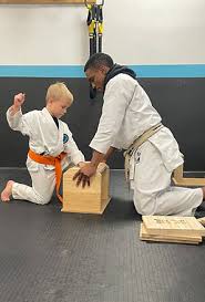Image result for Everitt Karate Academy