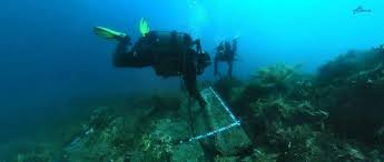 Image result for Breakwater Divers